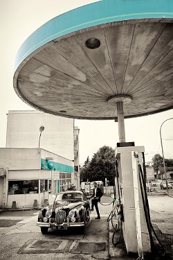 _MG_3338